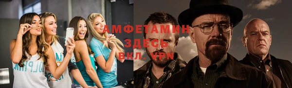 стаф Семилуки