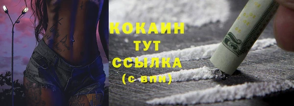 индика Балахна