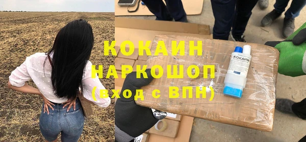 индика Балахна
