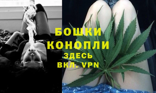 индика Балахна