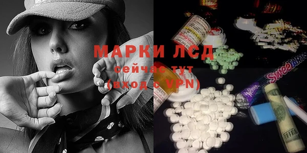 индика Балахна