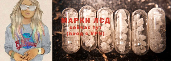 индика Балахна