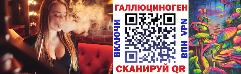 как найти   Красавино  Галлюциногенные грибы Psilocybine cubensis 